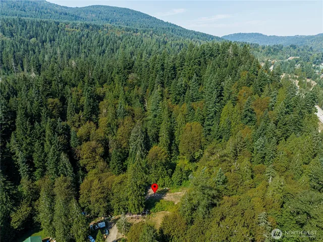 a view of a lush green hillside and a mountain
