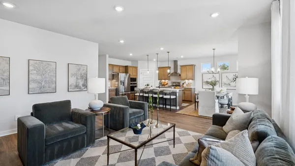 a living room with furniture rug and lamp