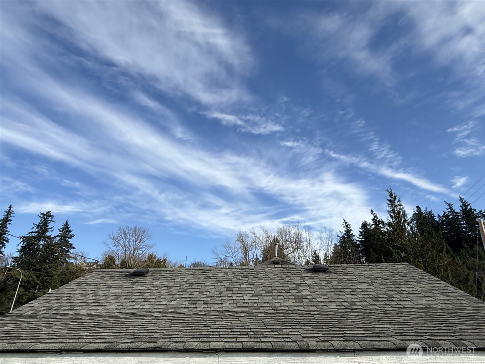 319 East Section Street Mount Vernon, WA 98273 - Photo 4 of 22 a view of a dry yard