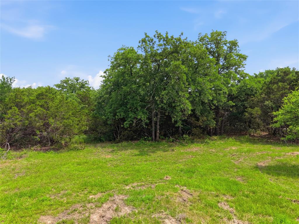 Tbd Manley Road Weatherford, TX 76088 - Photo 11 of 15 a view of a green yard