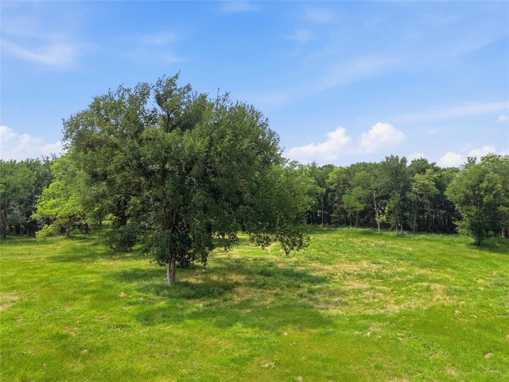 Tbd Manley Road Weatherford, TX 76088 - Photo 2 of 15 a view of outdoor space with trees all around