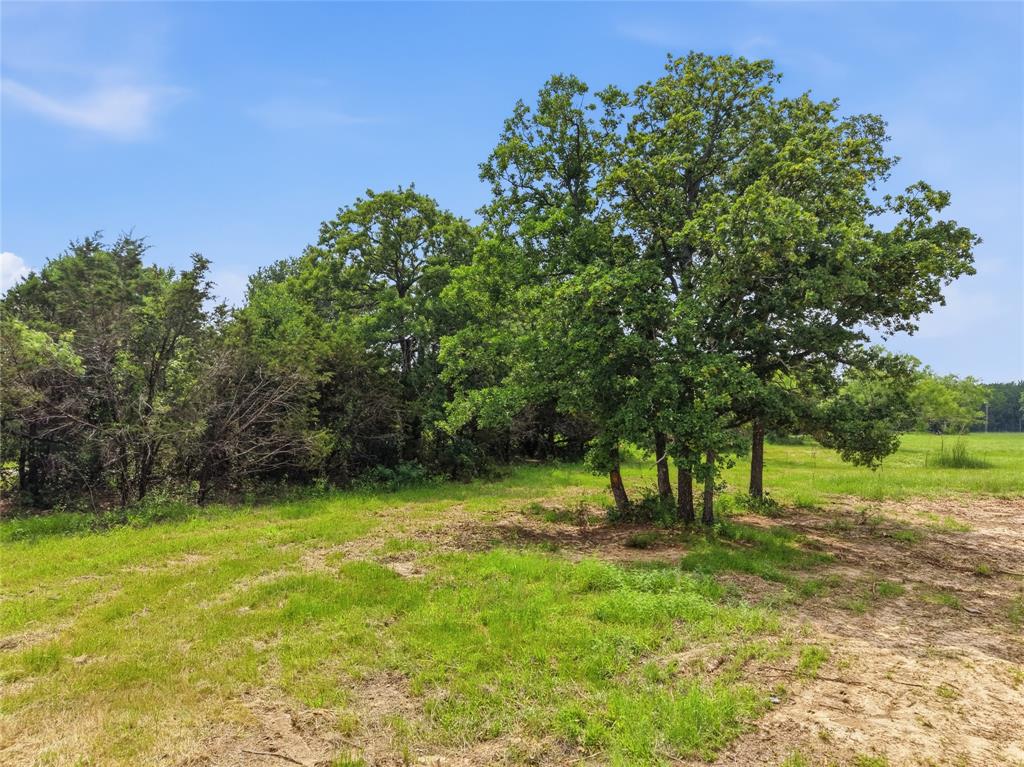 Tbd Manley Road Weatherford, TX 76088 - Photo 4 of 15 a view of park