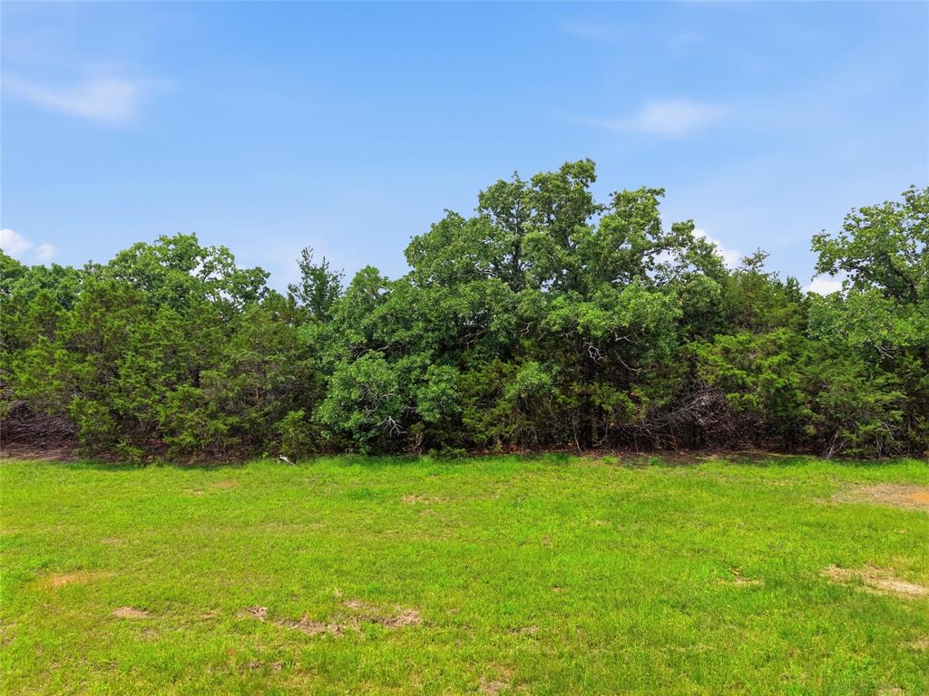 Tbd Manley Road Weatherford, TX 76088 - Photo 9 of 15 a view of a garden