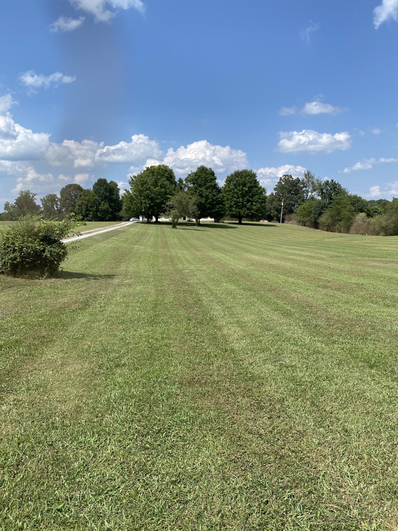 221 Riddle Lane Loretto, TN 38469 - Photo 4 of 31 Gallery Image 4