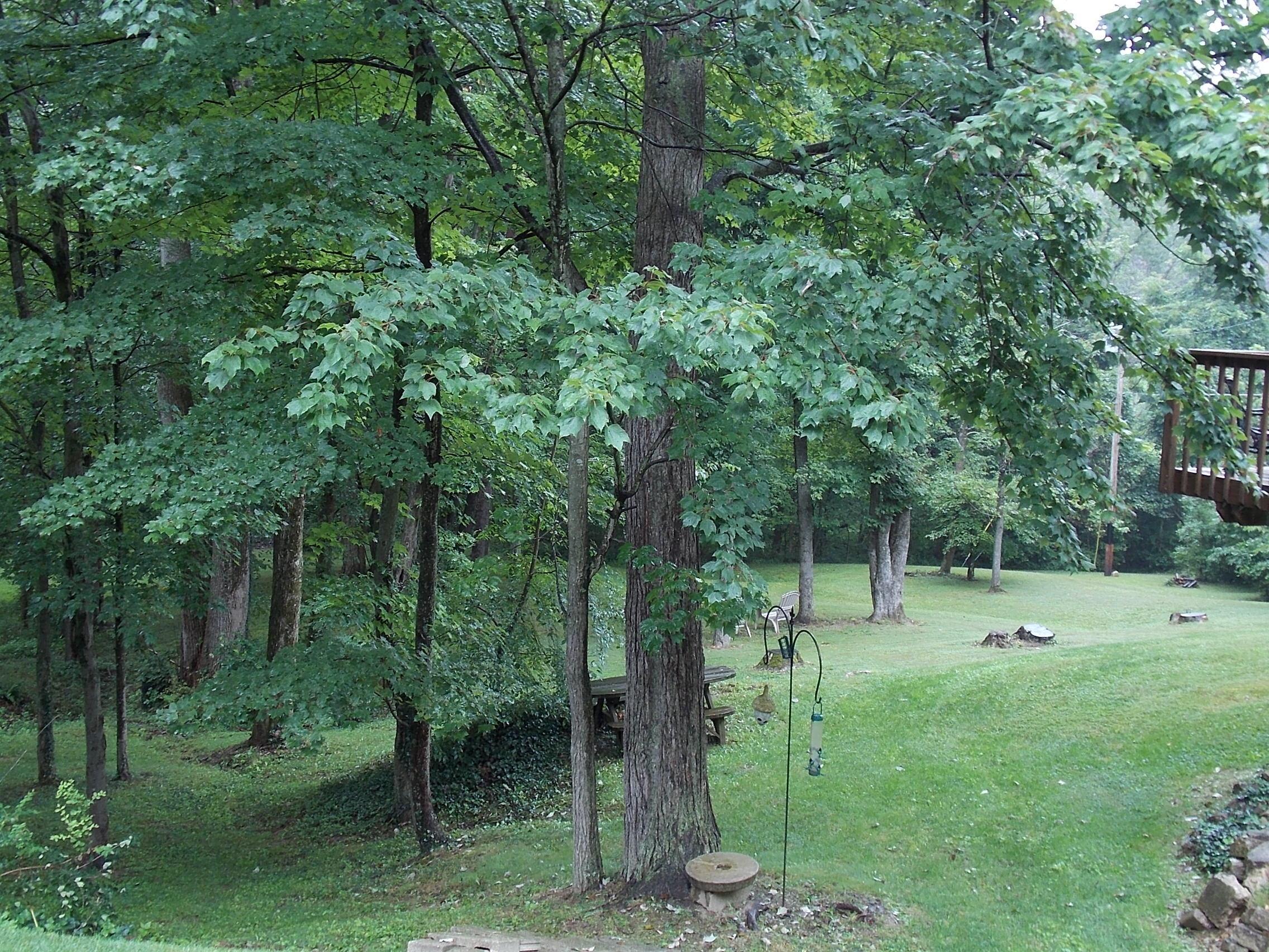 2581 Lake Road Southeast Lancaster, OH 43130 - Photo 38 of 53 Gallery Image 38