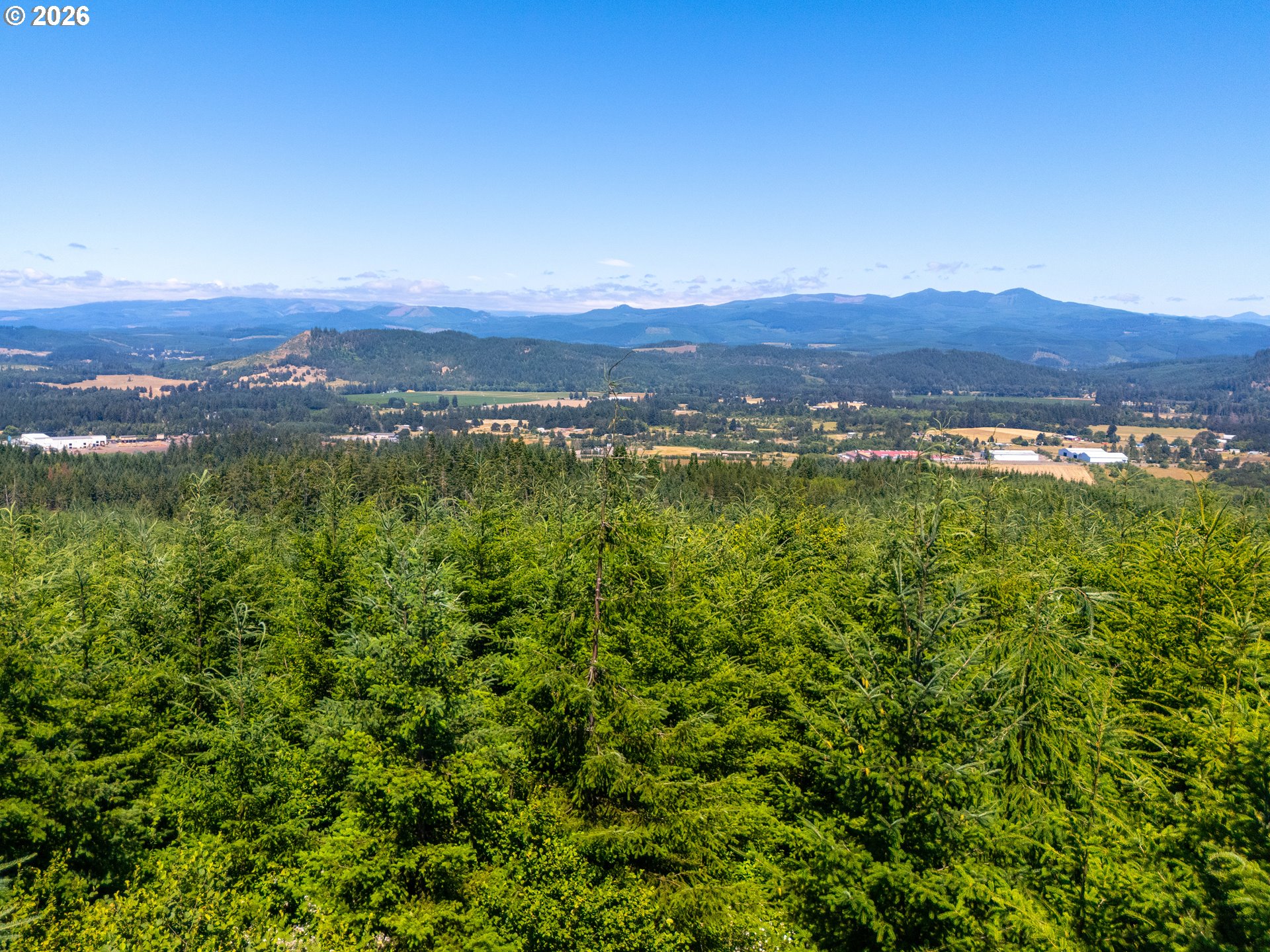 29852 Ingram Road Lebanon, OR 97355 - Photo 15 of 17