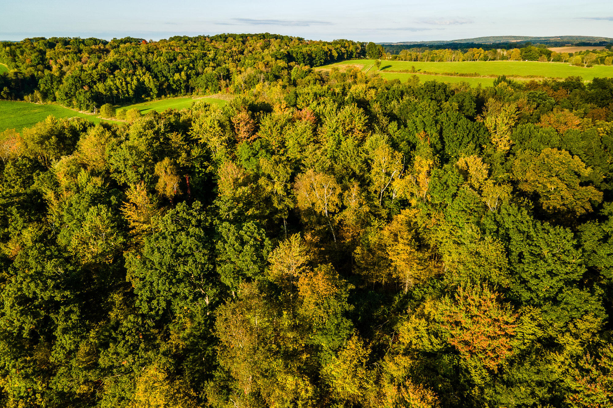 Lt1 Eli Valley Road Loganville, WI 53943 - Photo 3 of 49 Sauk-County-WI-68-Acres-Land-For-Sale-Fa