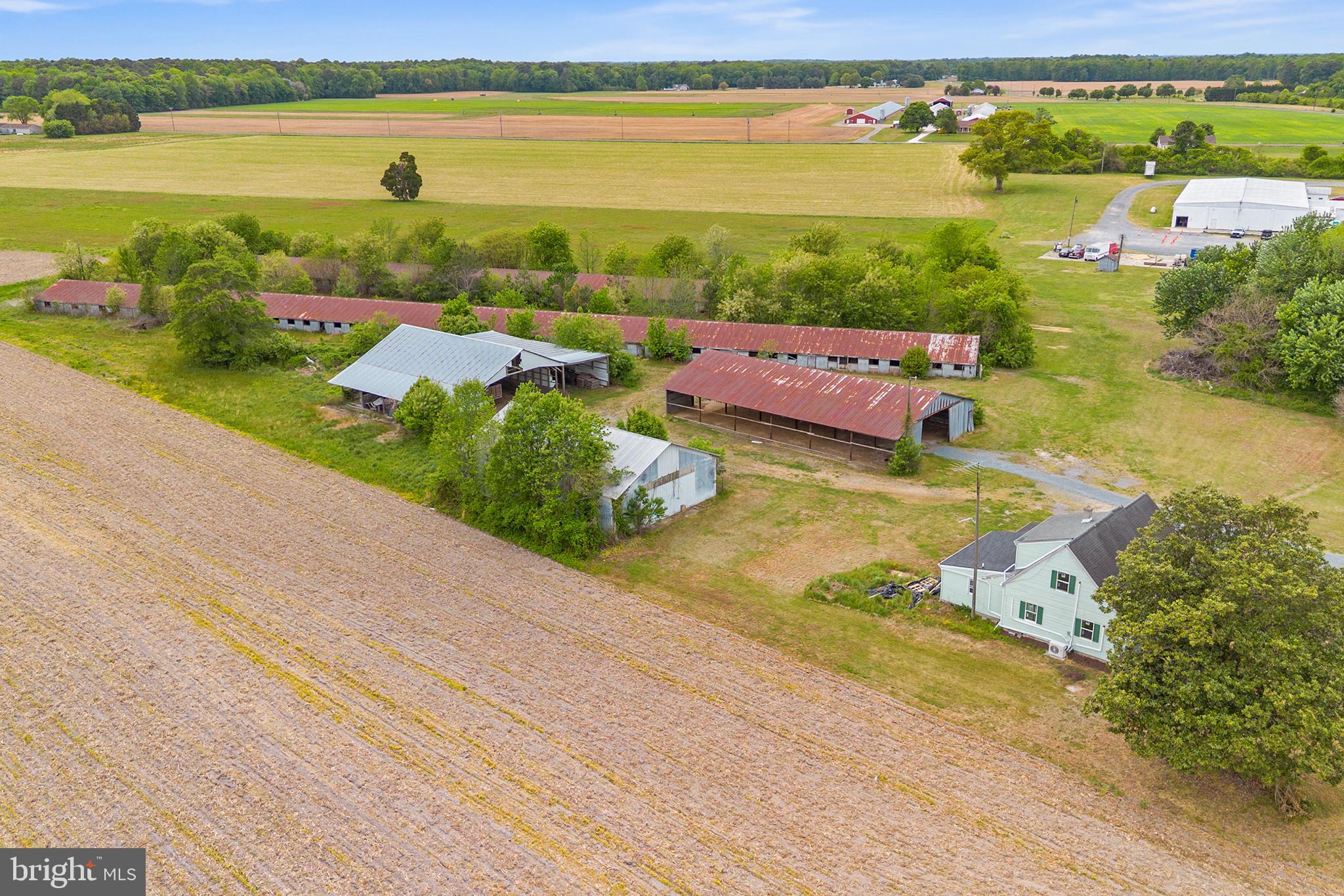 25699 Auction Road Federalsburg, MD 21632 - Photo 42 of 46