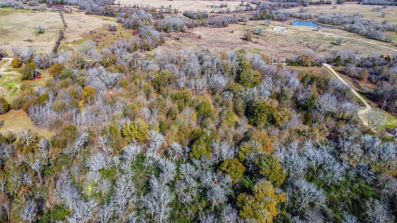 Tbd Bundic Road North Zulch, TX 77872 - Photo 12 of 13 a view of a forest