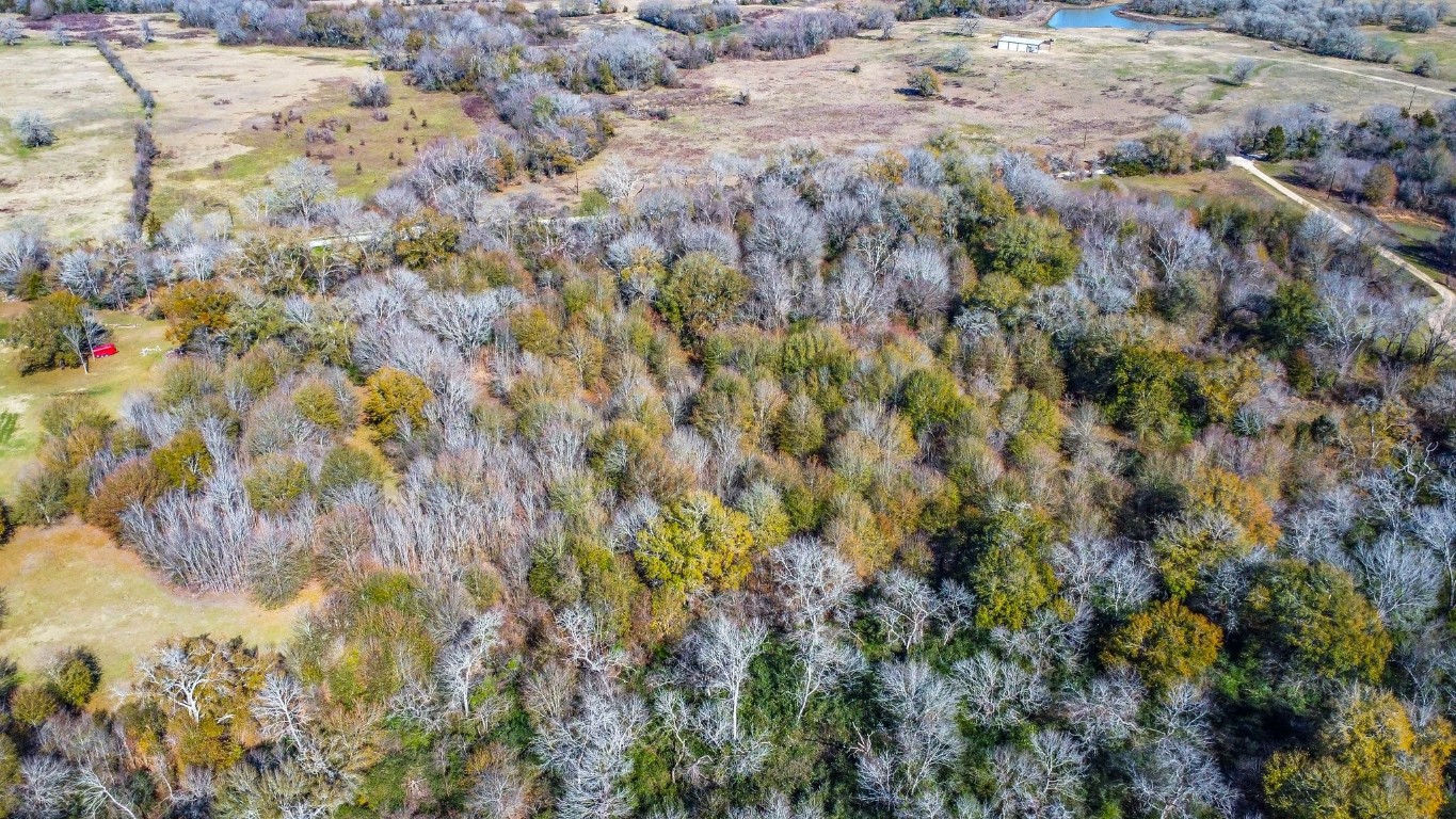 Tbd Bundic Road North Zulch, TX 77872 - Photo 13 of 13 a view of a yard