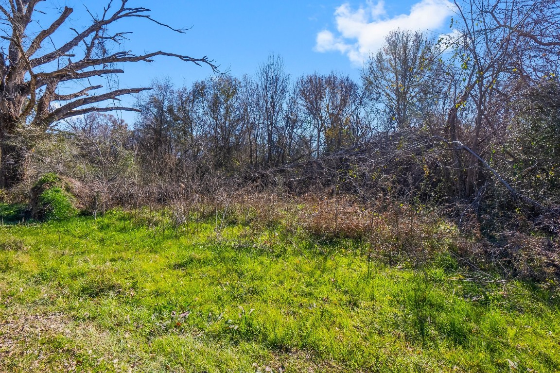 Tbd Bundic Road North Zulch, TX 77872 - Photo 4 of 13 a view of a yard with large trees