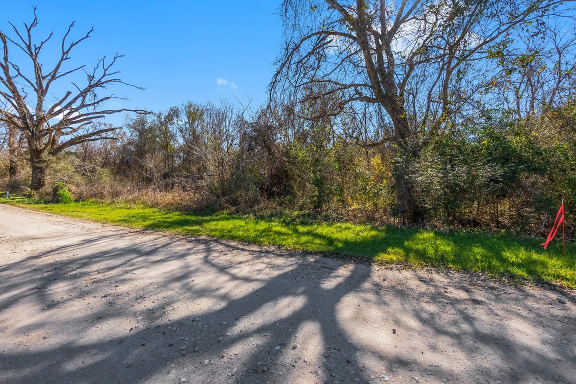 Tbd Bundic Road North Zulch, TX 77872 - Photo 5 of 13 a view of a park with large trees