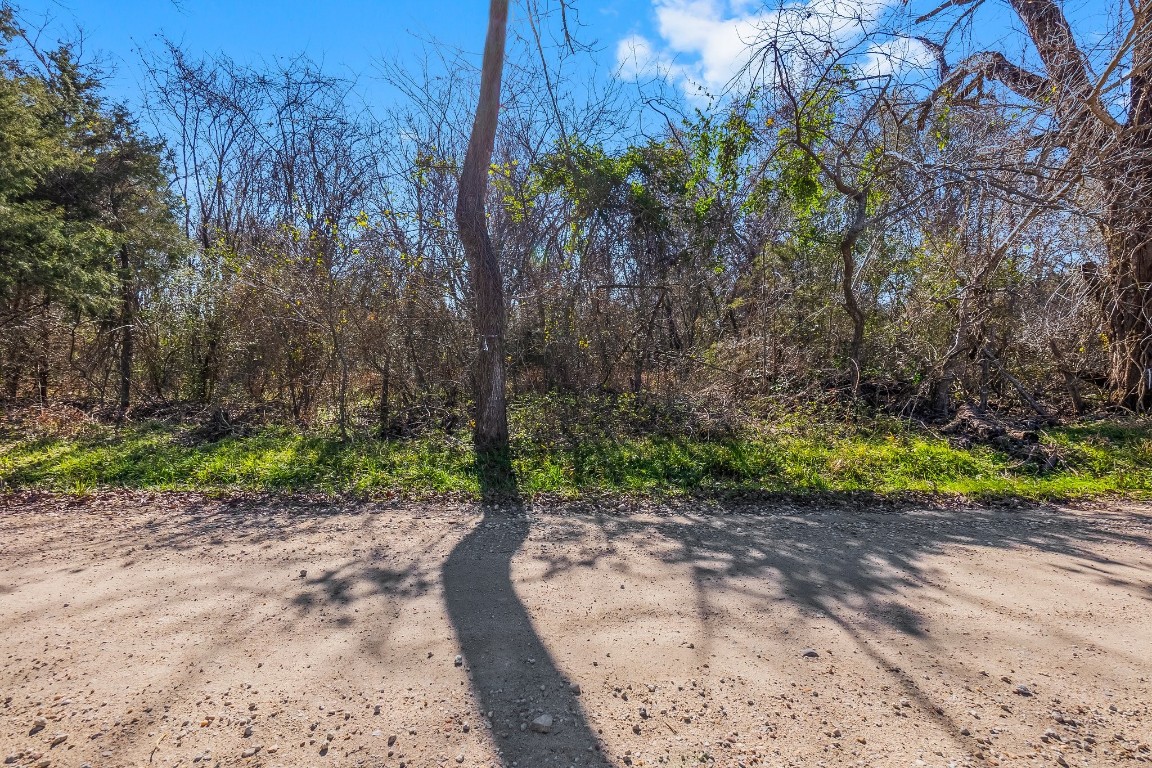 Tbd Bundic Road North Zulch, TX 77872 - Photo 6 of 13 a view of a garden with plants