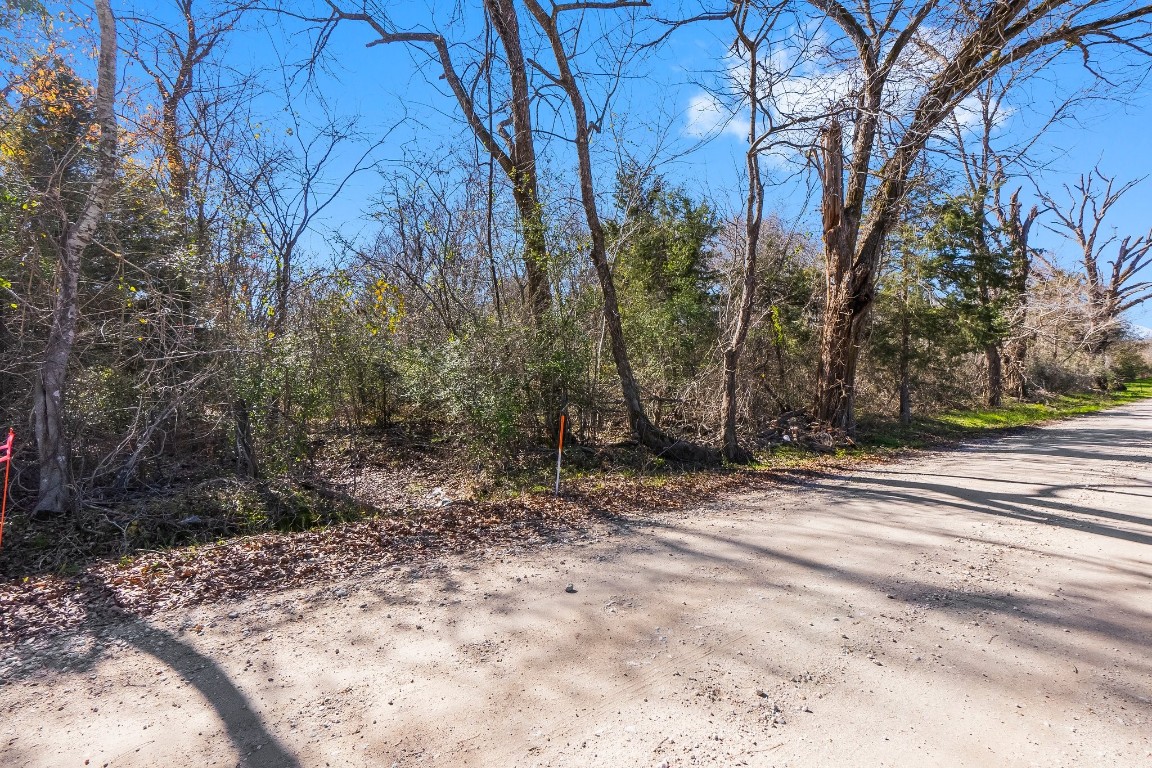 Tbd Bundic Road North Zulch, TX 77872 - Photo 7 of 13 a view of a yard with large trees