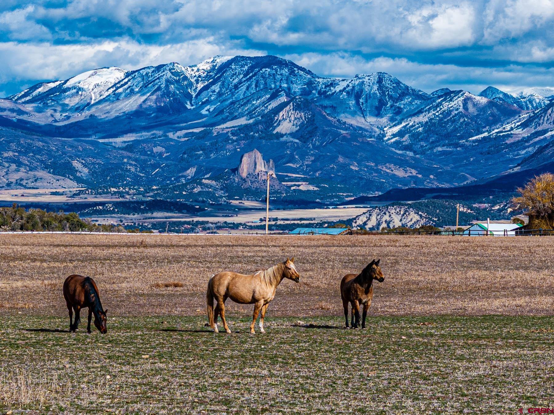 2741 7750th Road Crawford, CO 81415 - Photo 3 of 45 a view of outdoor seating
