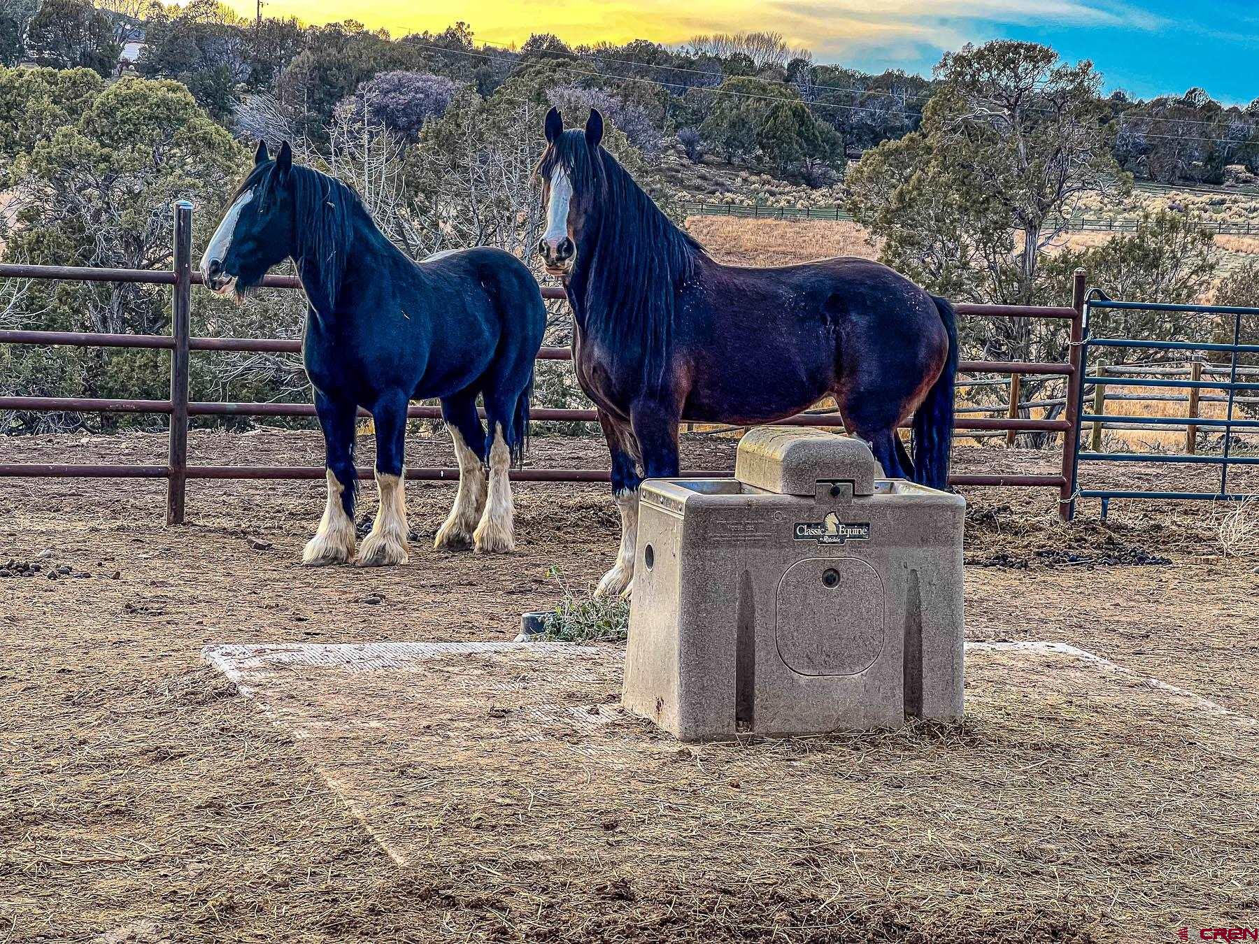 2741 7750th Road Crawford, CO 81415 - Photo 36 of 45 a view of two chairs and table in the yard
