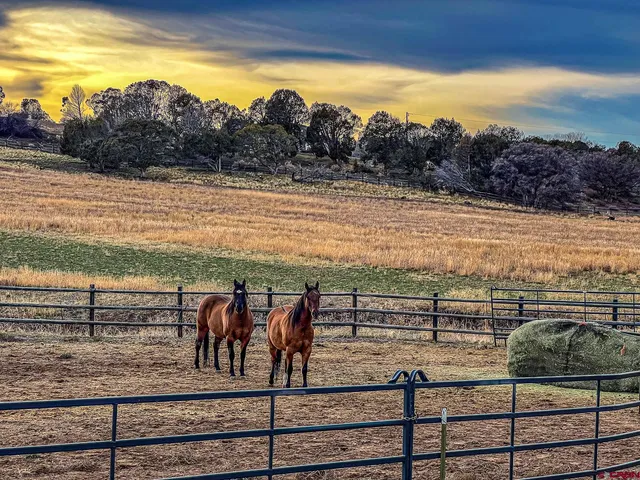 a view of entryway front of shop