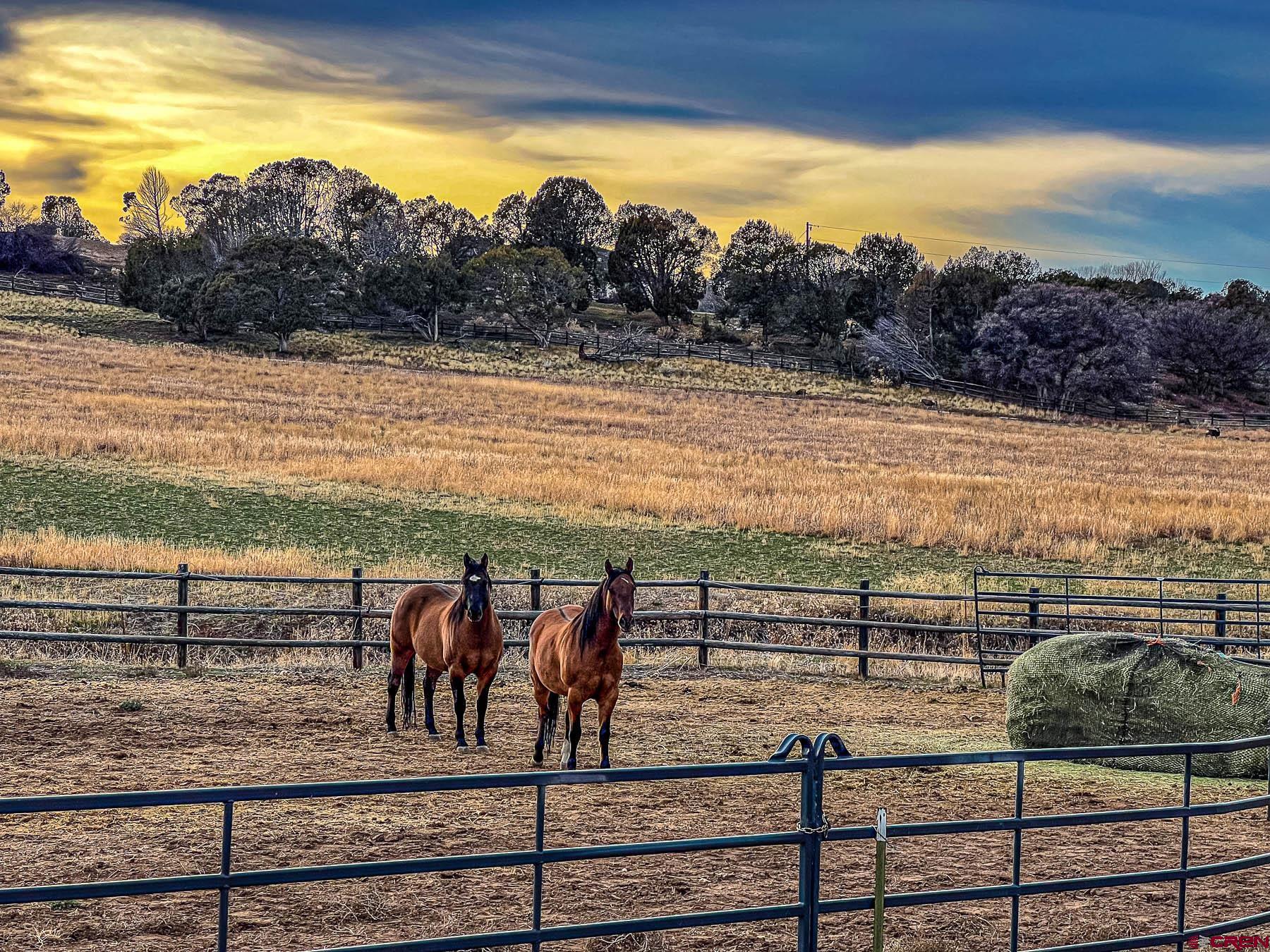 2741 7750th Road Crawford, CO 81415 - Photo 37 of 45 a view of ocean from a balcony