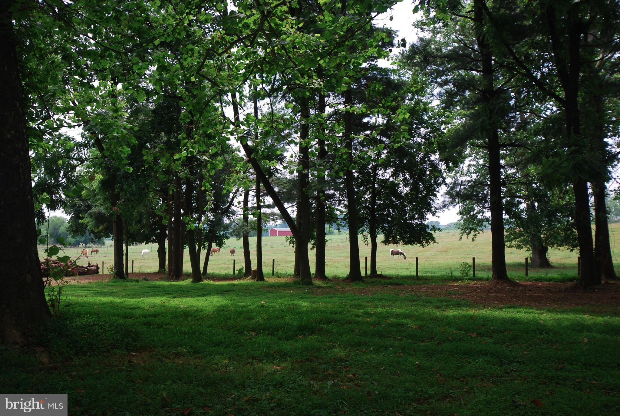 16205 Frederick Road Lisbon, MD 21797 - Photo 5 of 14 Backyard view.