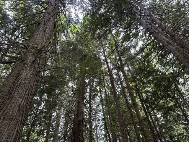 H Street Vernonia, OR 97064 - Photo 20 of 21