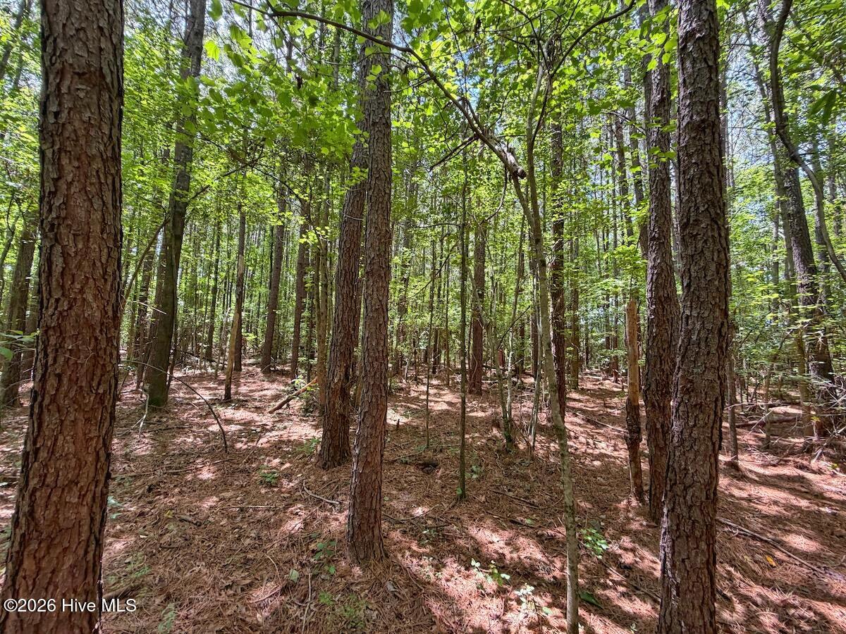 4 Titan Roberts Road Erwin, NC 28339 - Photo 28 of 36