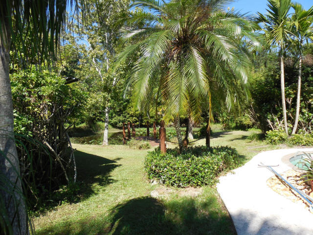 15797 111th Terrace North Jupiter, FL 33478 - Photo 25 of 26 Tropical Landscaping
