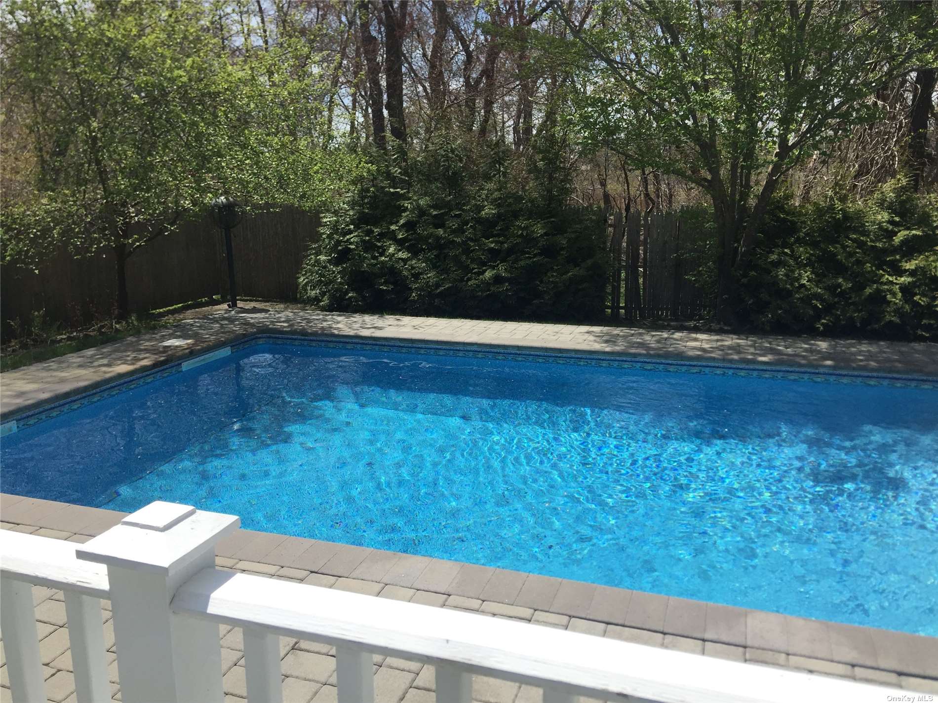 Sparkling pool abuts preserve to the west