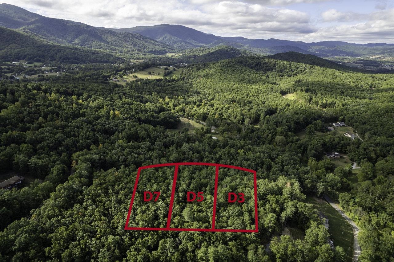 Lot D3 Holiday Hill Road Luray, VA 22835 - Photo 13 of 32