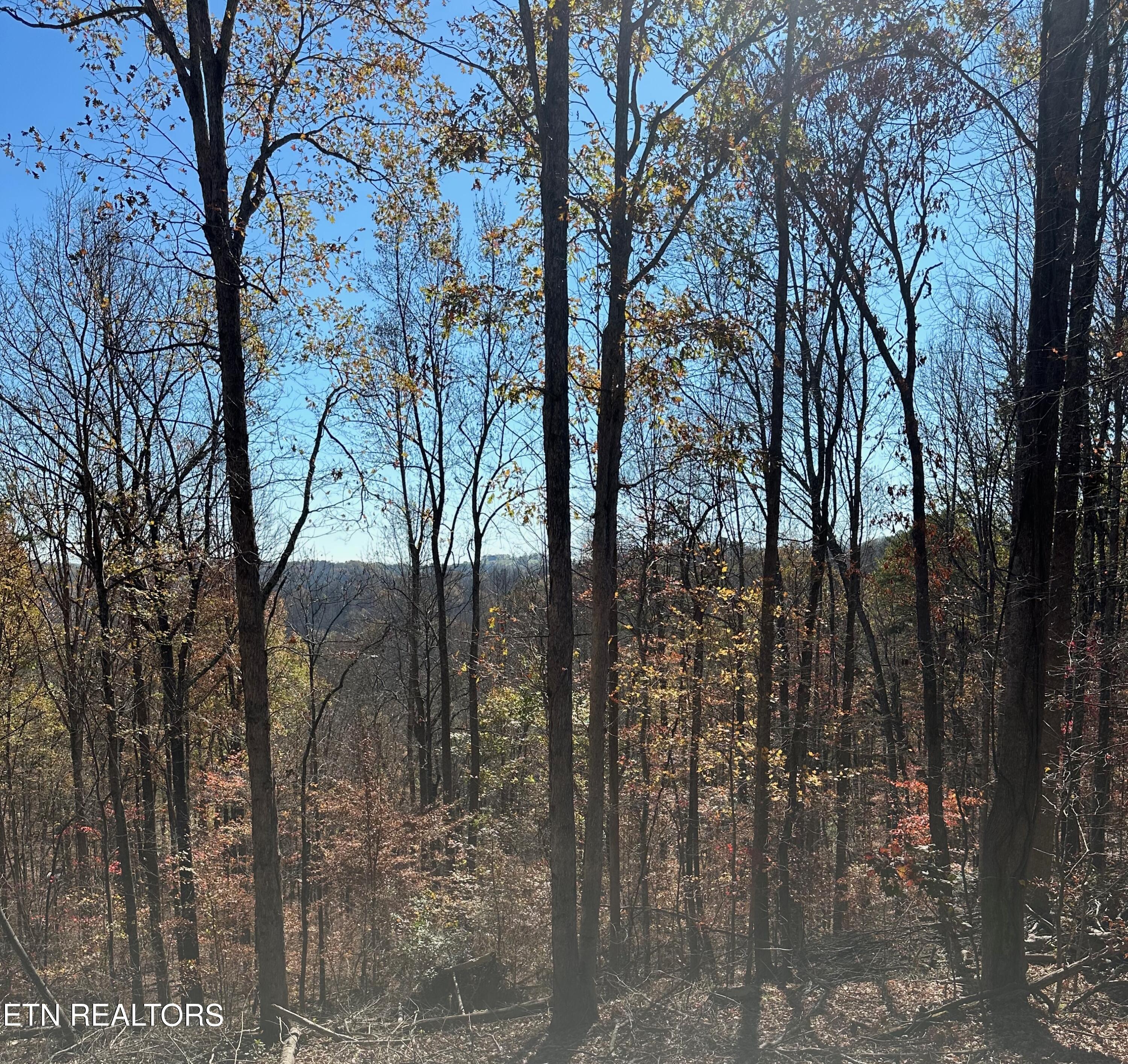 Landmark Road Jacksboro, TN 37757 - Photo 3 of 9 IMG_3723