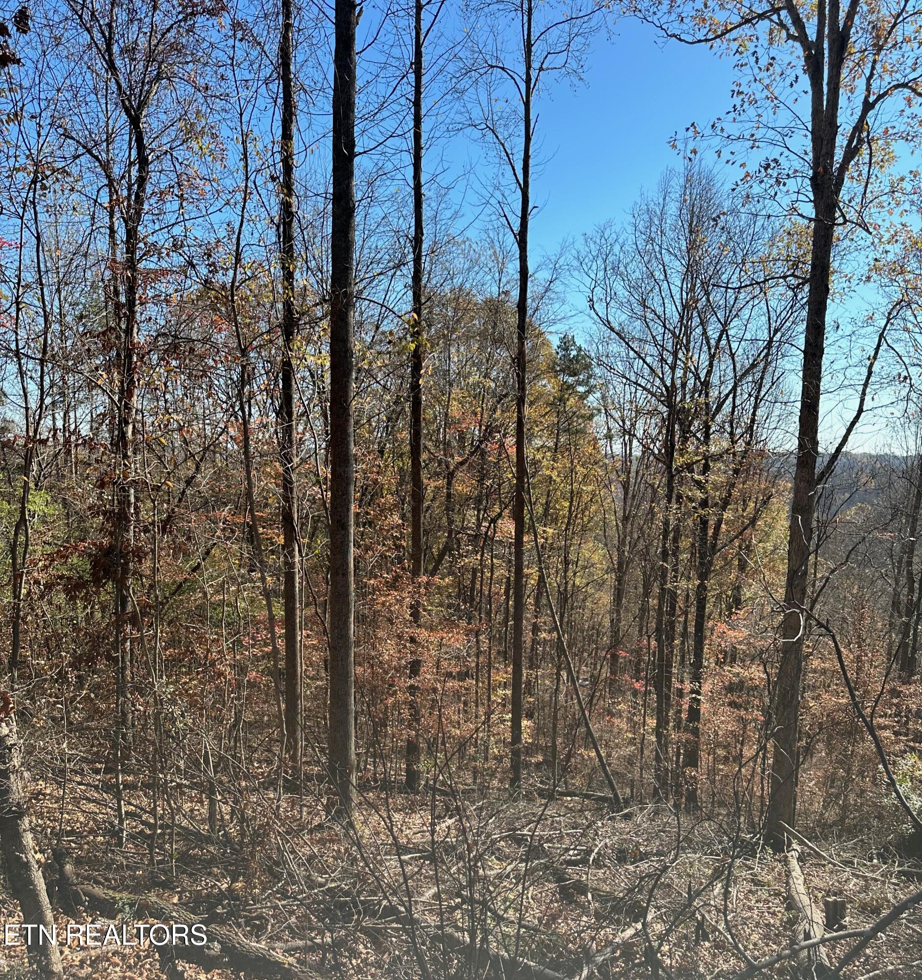 Landmark Road Jacksboro, TN 37757 - Photo 5 of 9 IMG_3725