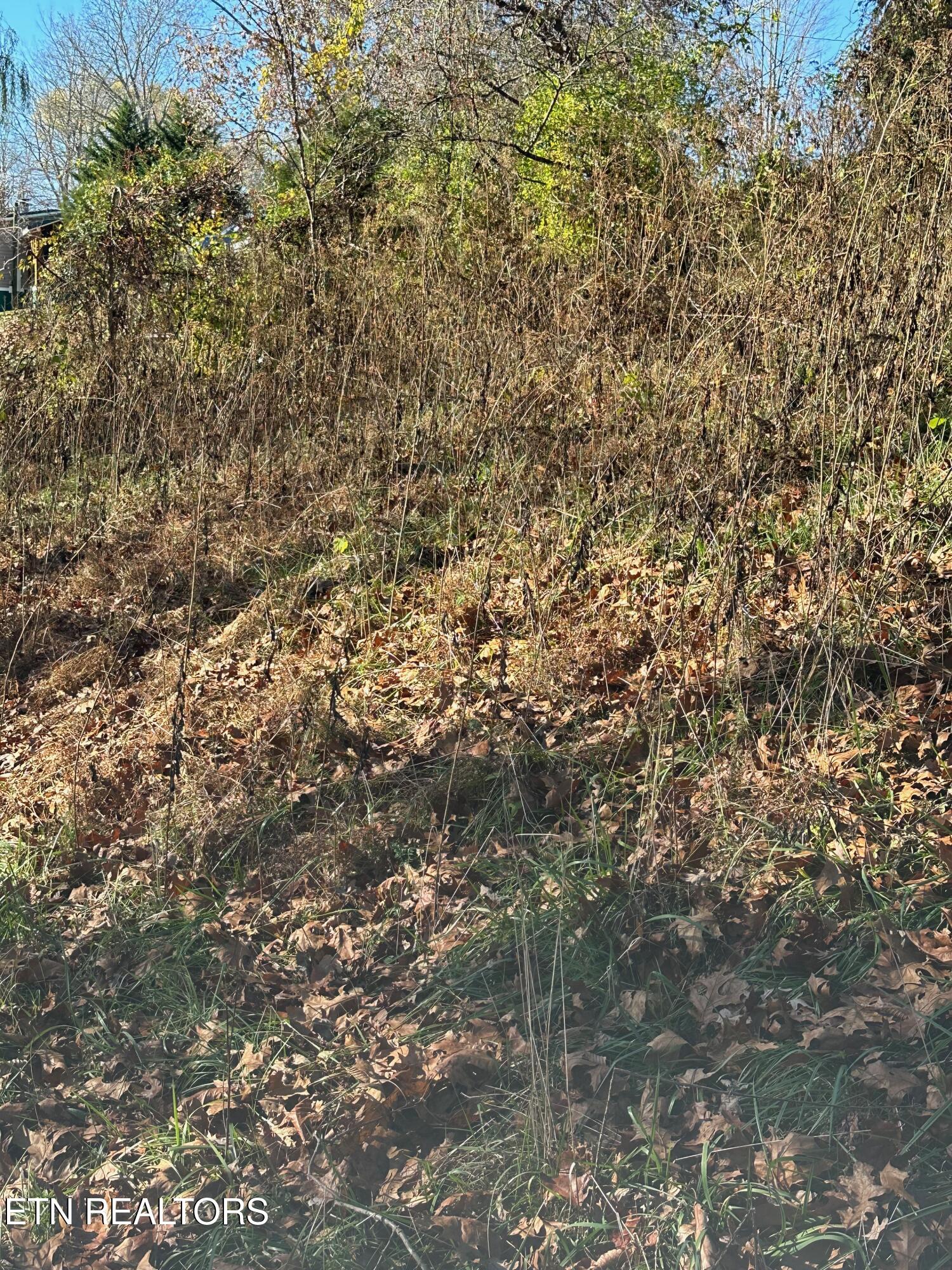 Landmark Road Jacksboro, TN 37757 - Photo 7 of 9 IMG_3719