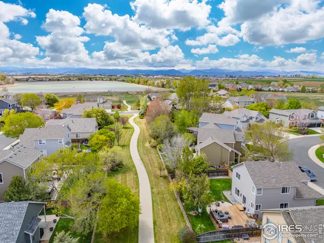 a view of a park with large trees