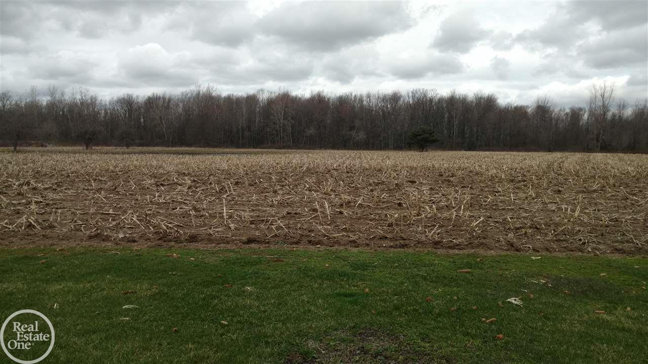 7768 Avoca Road Avoca, MI 48006 - Photo 5 of 17