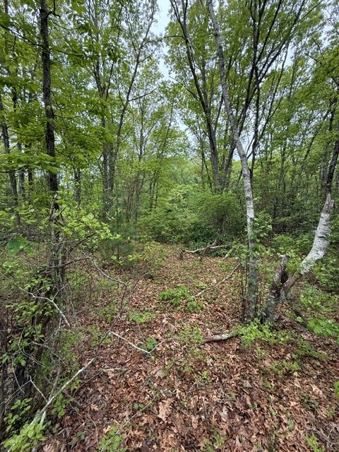 14 Fallon Trail Westerly, RI 02891 - Photo 4 of 5