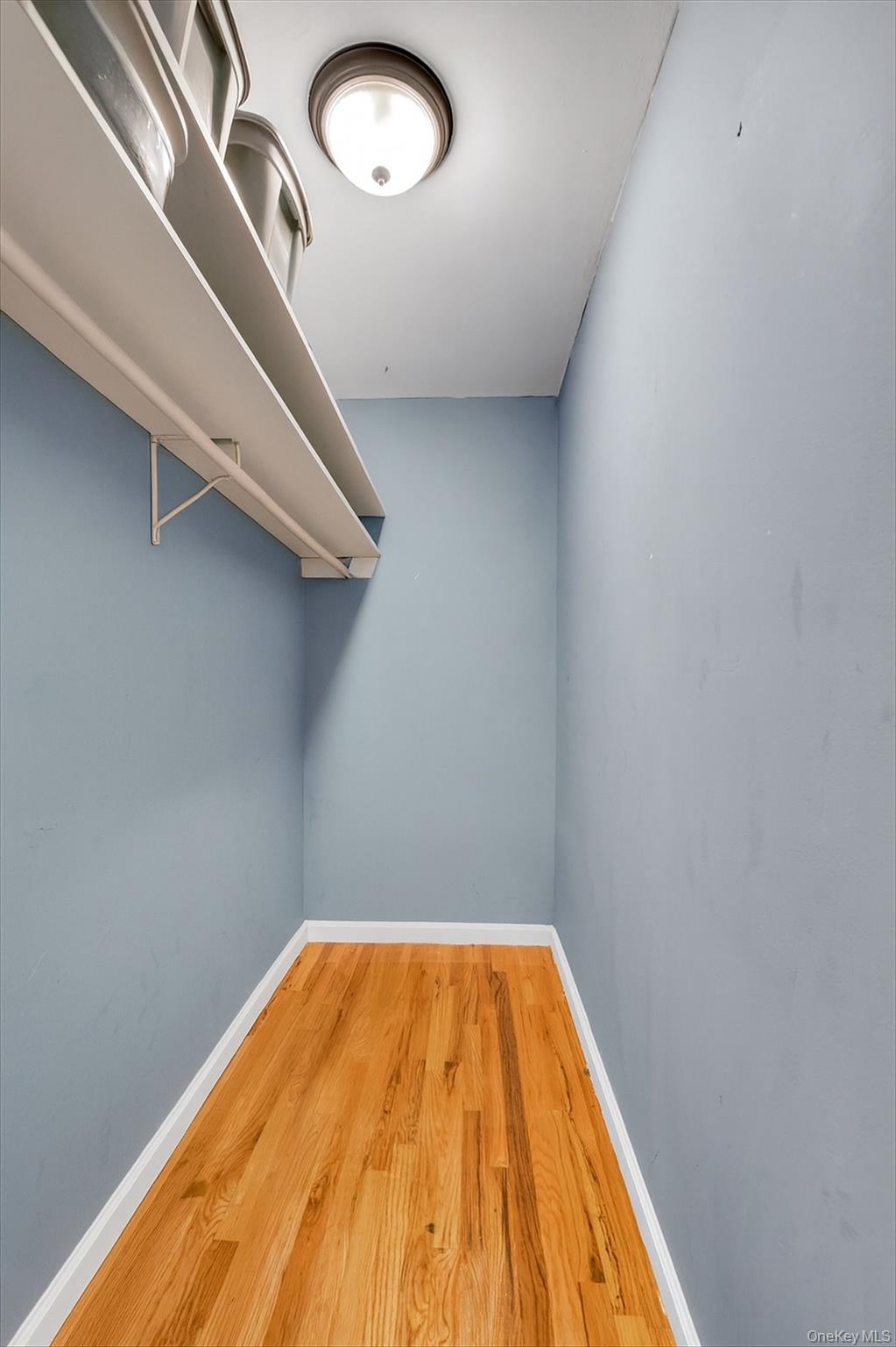 178-34 Selover Road Queens, NY 11434 - Photo 11 of 49 Walk-In Closet- Virtually Emptied