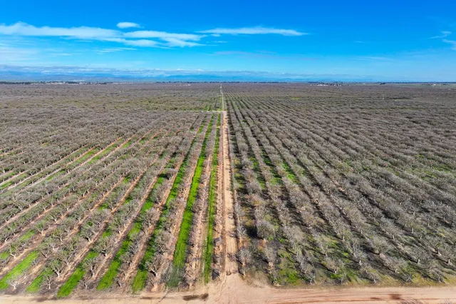 a view of a yard with an ocean
