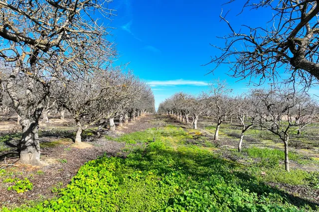$300,000 | 0 Avenue 20, Madera, CA 93638