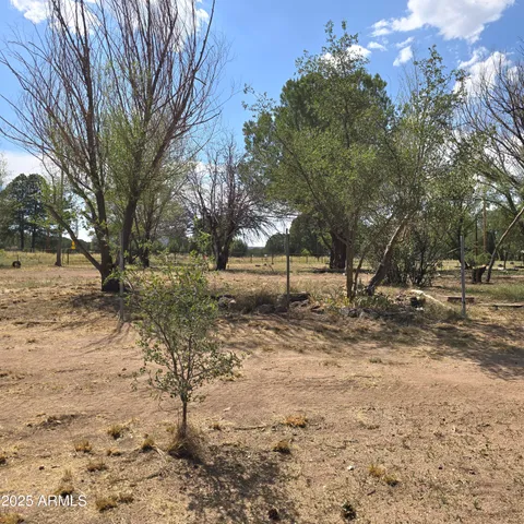 $330,000 | 45985 Highway 288, Young, AZ 85554