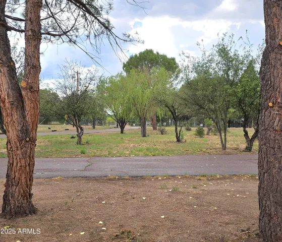 $330,000 | 45985 Highway 288, Young, AZ 85554