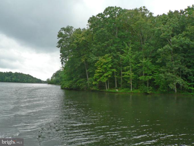 2923 Minor Road Bumpass, VA 23024 - Photo 4 of 4 a view of a lake view with a large trees