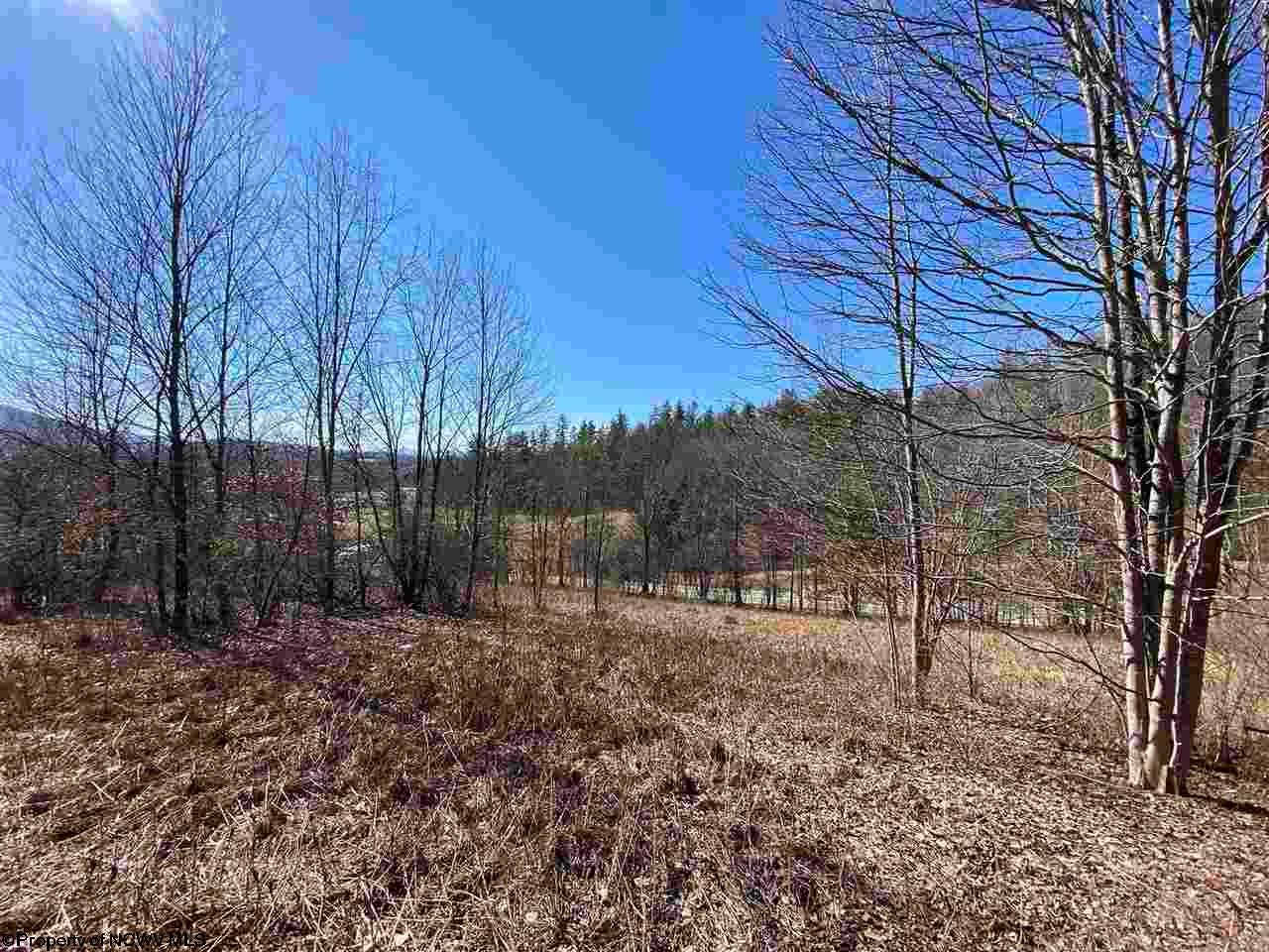 Tbd Kings Run Road Beverly, WV 26253 - Photo 1 of 7 Gallery Image 1