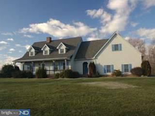 725 Cherry Grove Road Earleville, MD 21919 - Photo 3 of 6 Gallery Image 3