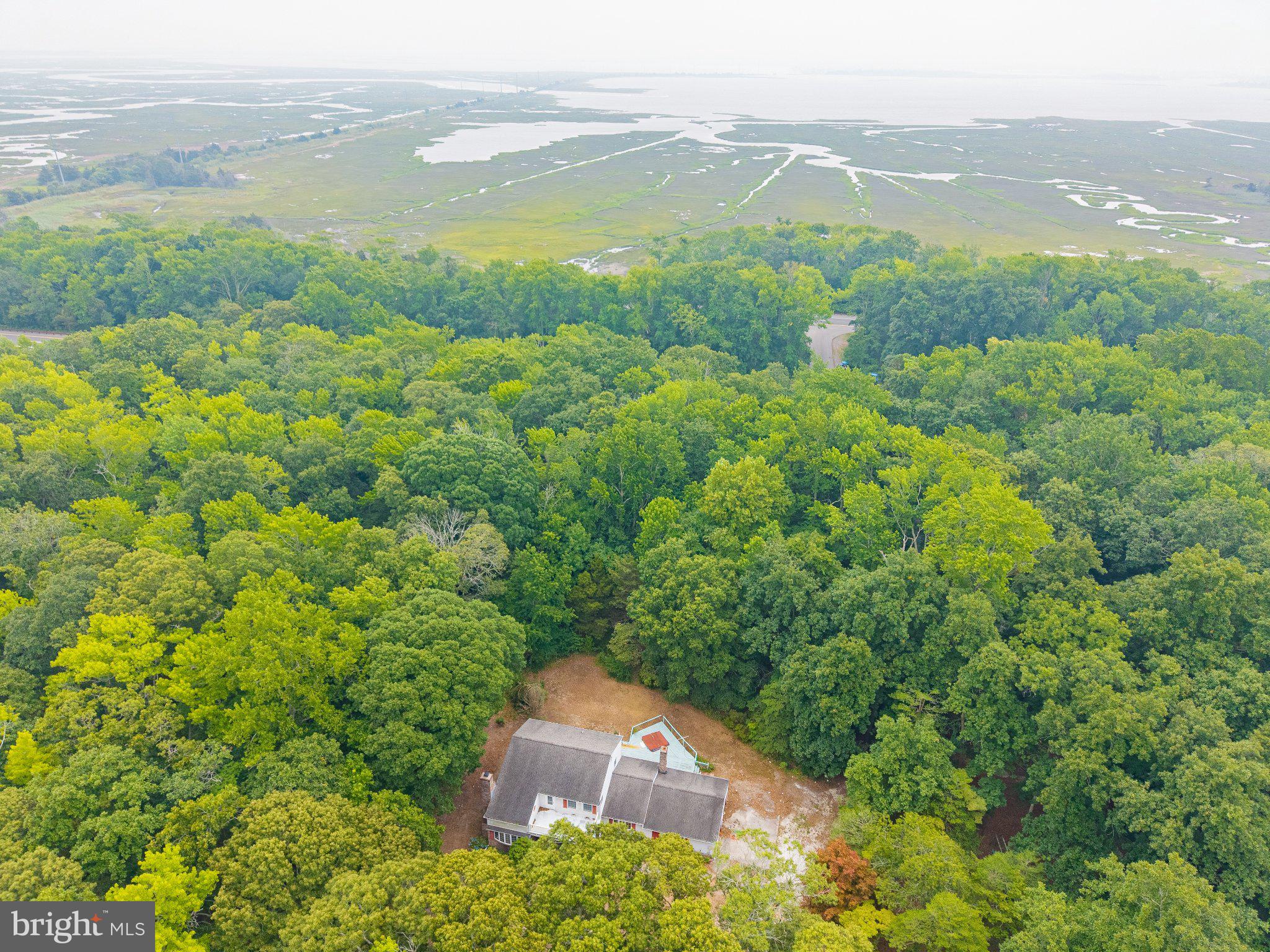 3032 Rte 9 South Rio Grande, NJ 08242 - Photo 41 of 47 Secluded retreat amidst lush greenery.