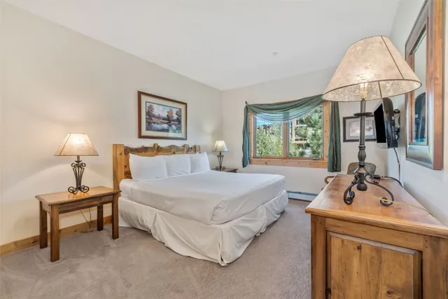 a spacious bedroom with a bed a rug and a large window