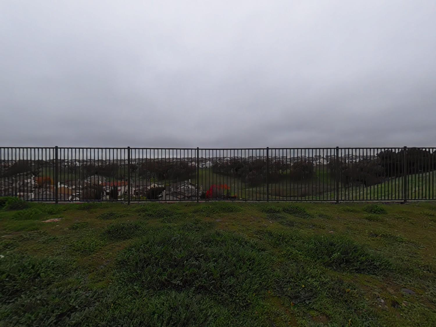 1236 Buck Ridge Rocklin, CA 95765 - Photo 58 of 66 a view of a big yard and large trees