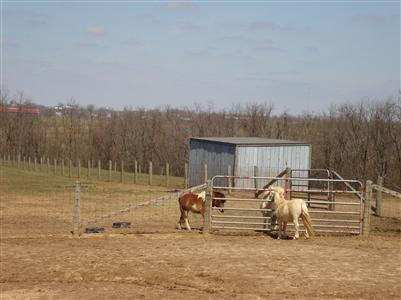 5317 Raymond Road Mays Lick, KY 41055 - Photo 7 of 25 Photo 7