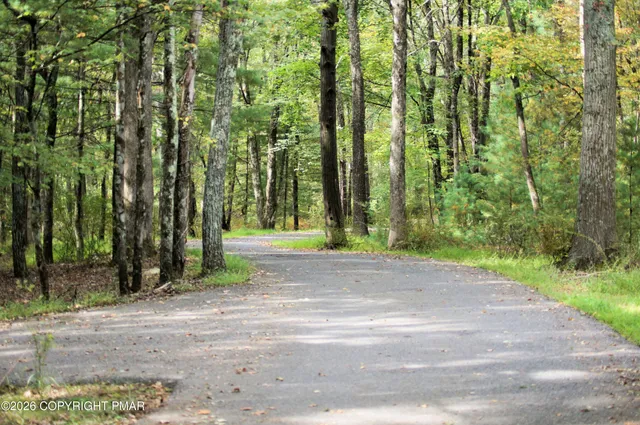 a view of a yard with plants