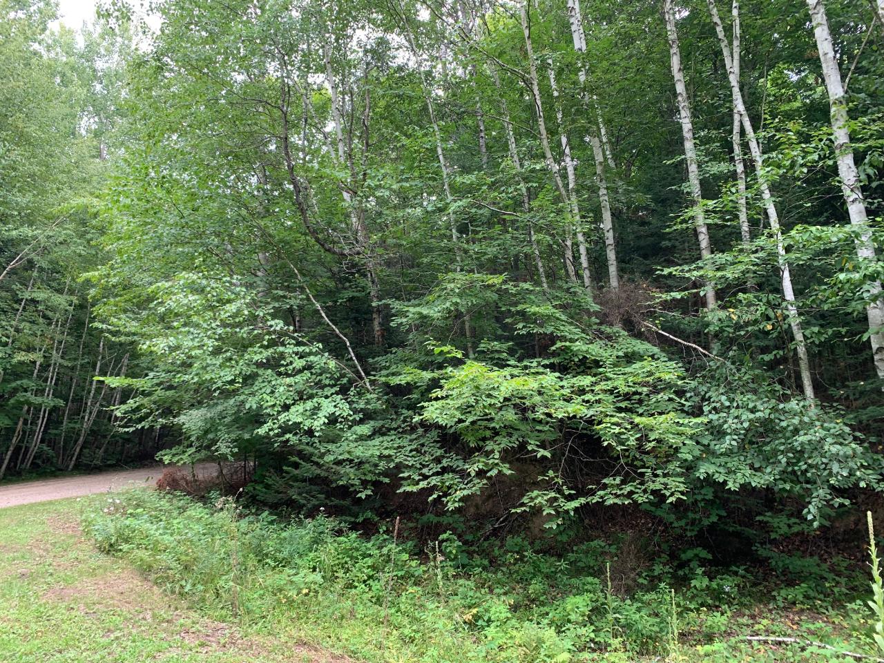 Lot 3 Donut Lake Road Crandon, WI 54520 - Photo 2 of 4 Gallery Image 2