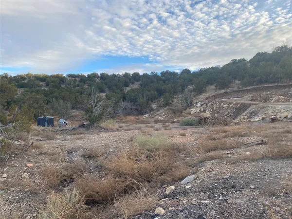 $105,000 | 34 Ice House Road, Cerrillos, NM 87010