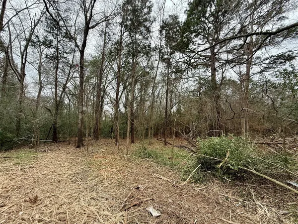 a view of outdoor space with trees all around